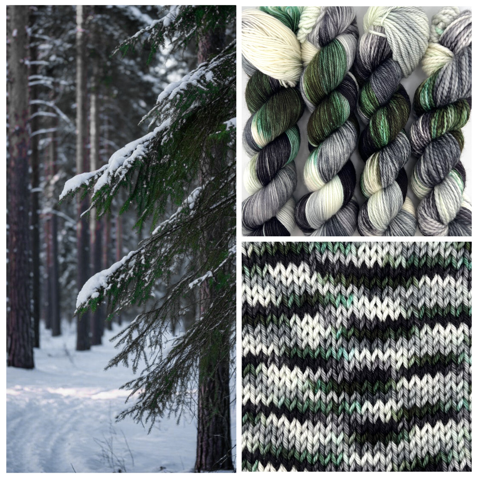 Winter Pines