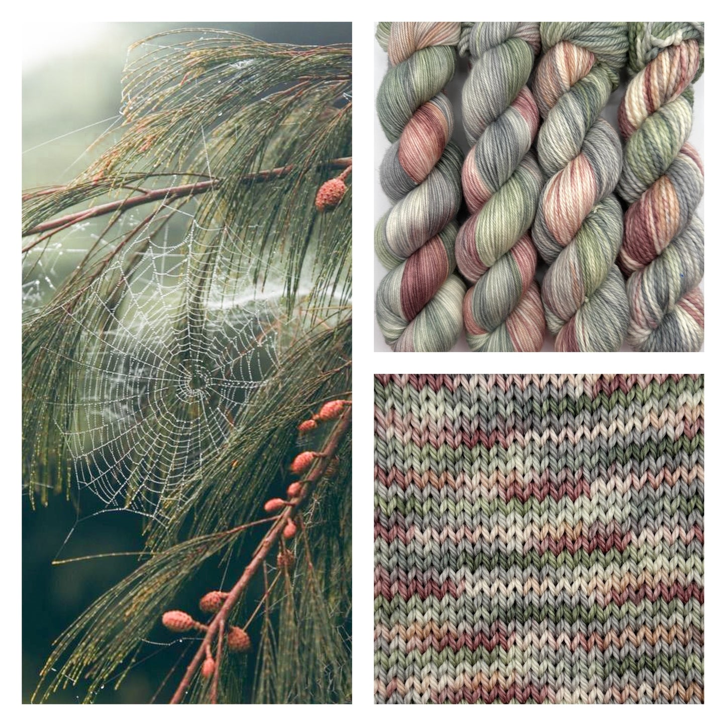 Yarn Of The Month