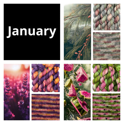 Yarn Of The Month