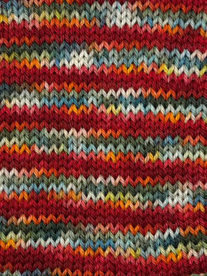 Polly Want A Cracker