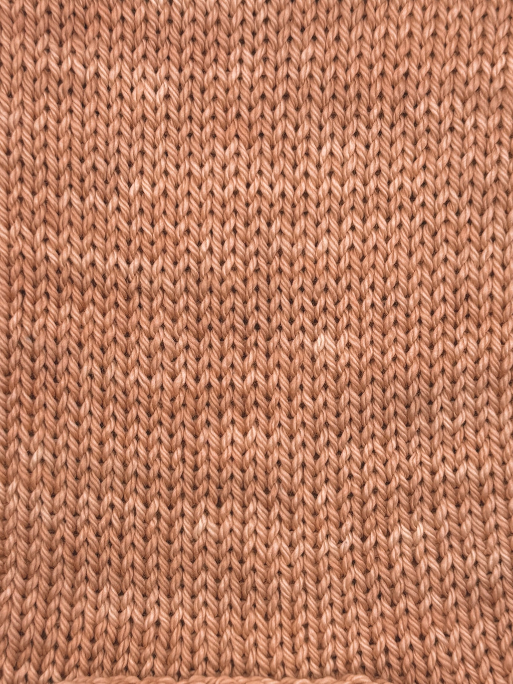 Soft Terracotta