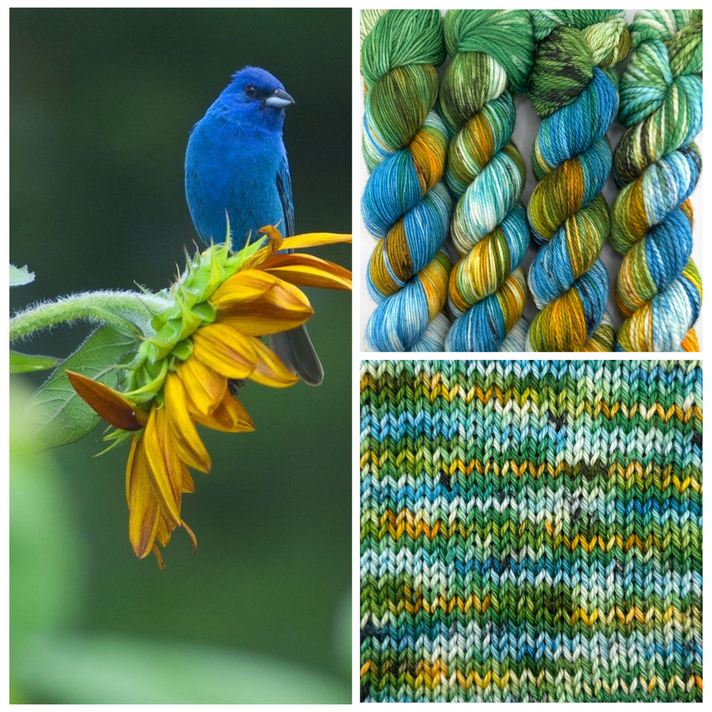 Bunting Blues