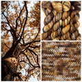 Autumn Oaks