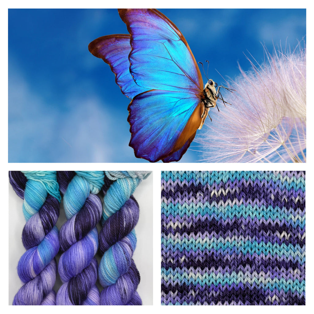 Morpho Me