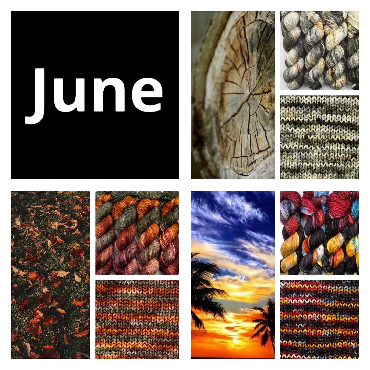 Yarn Of The Month