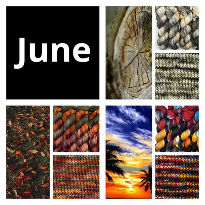 Yarn Of The Month