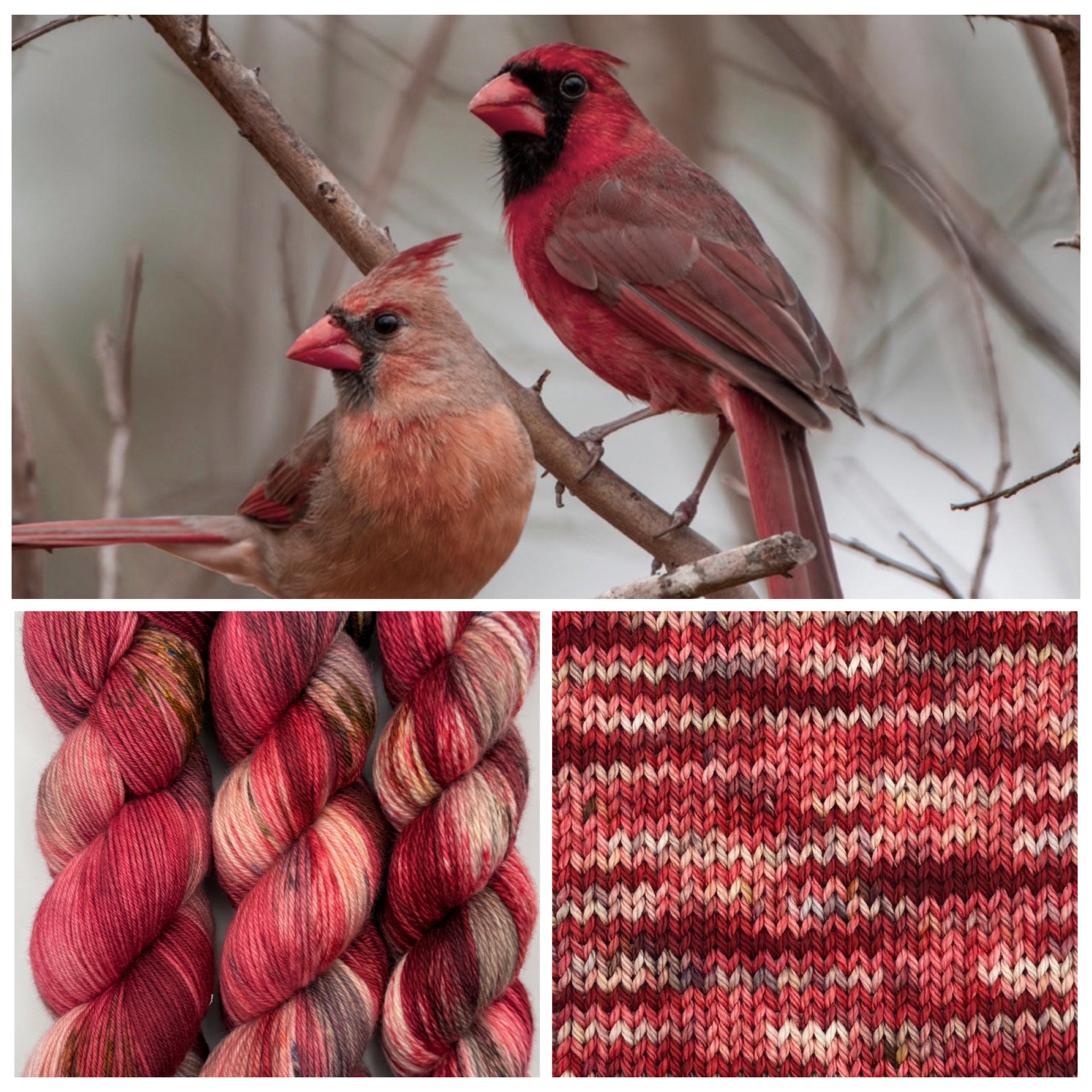 Captivating Cardinal Hand Dyed Merino Wool Yarn – Arcane Fibre Works