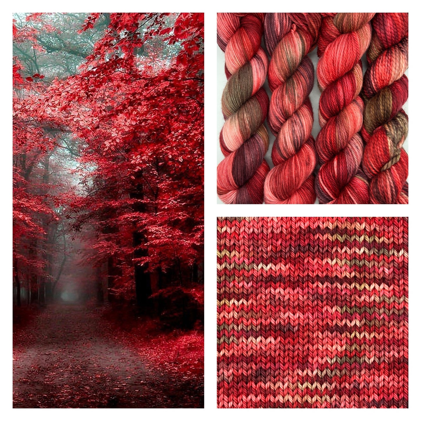 Scarlet Woods