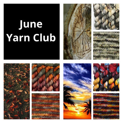 Yarn Club