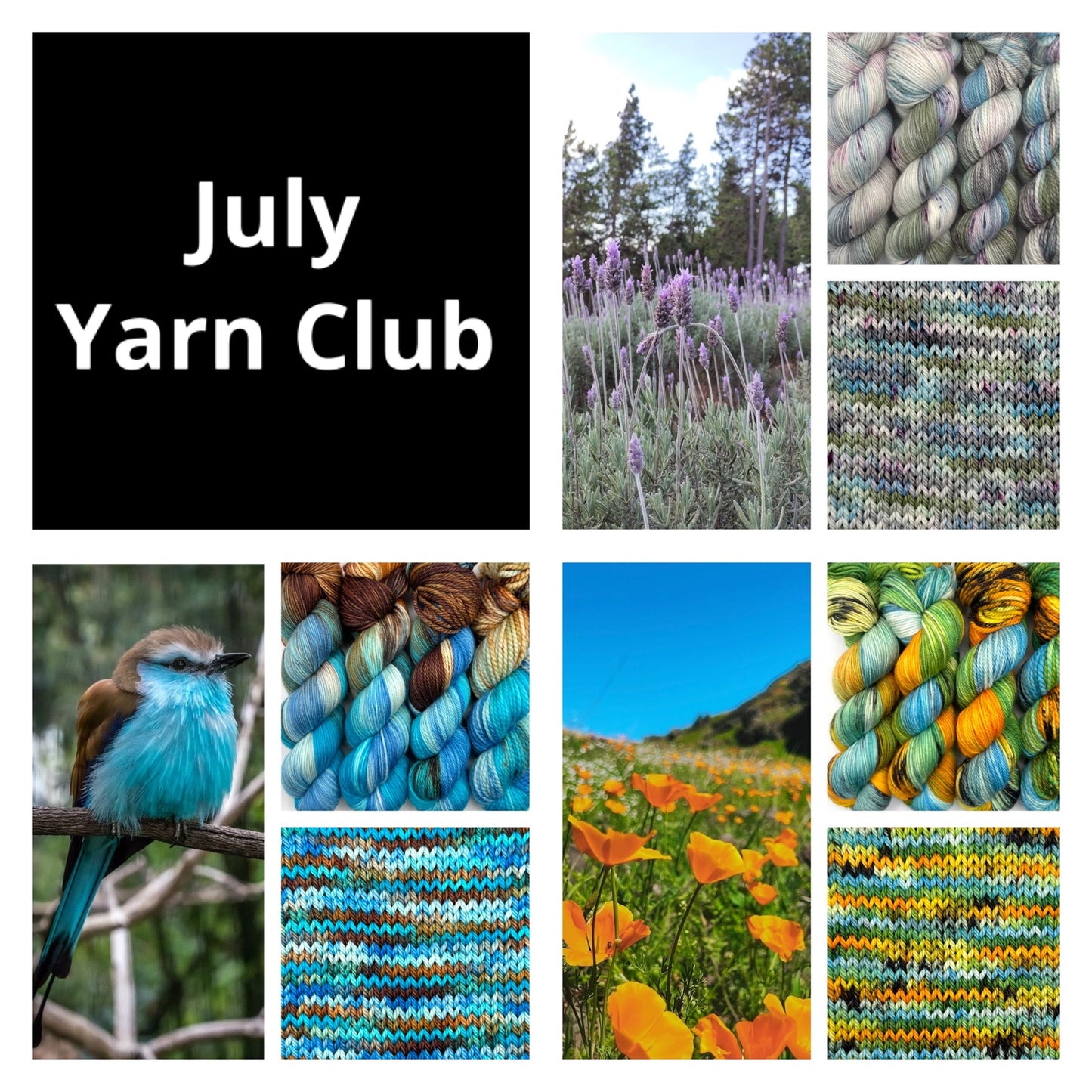 Yarn Club