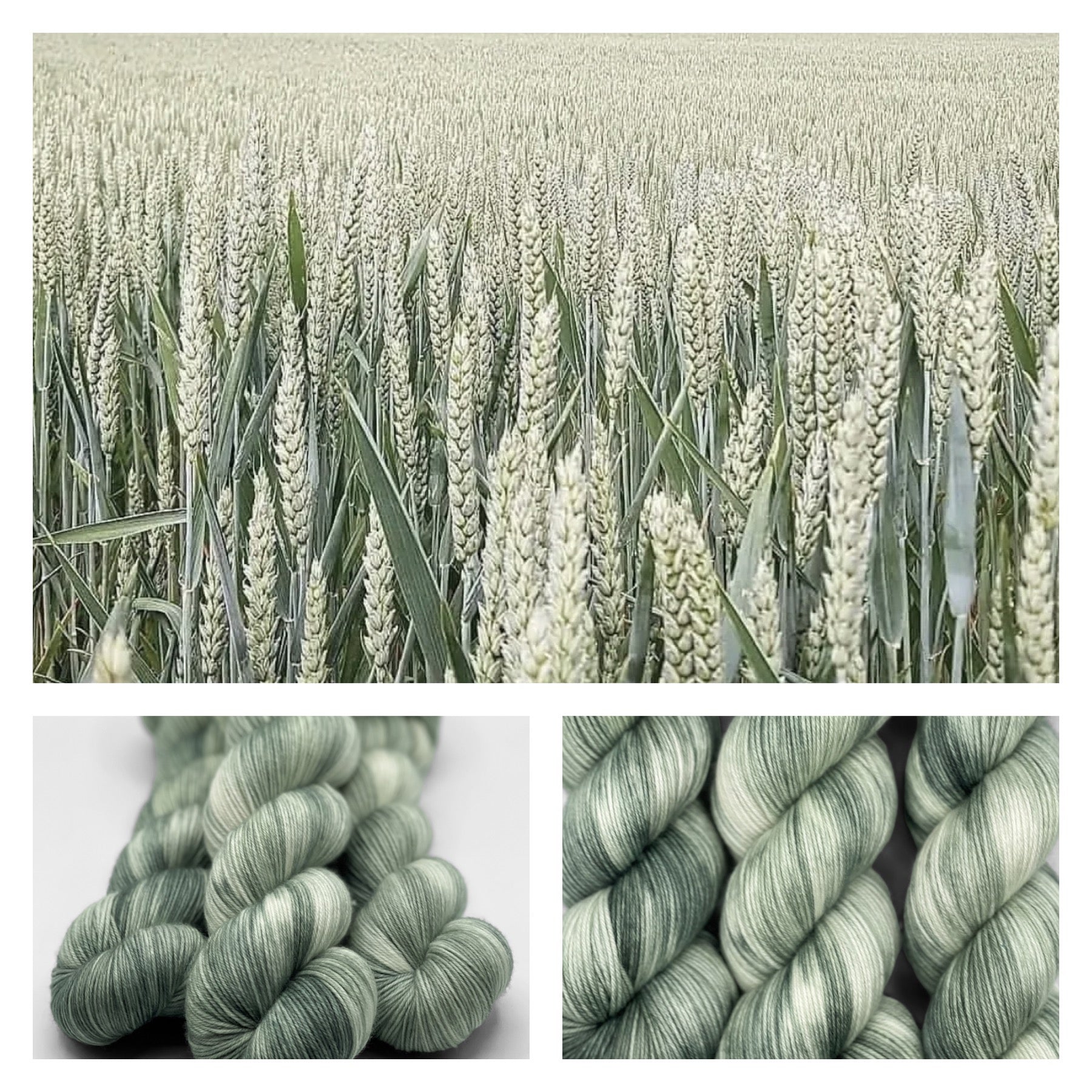 Green Of Wheat - Arcane Fibre Works