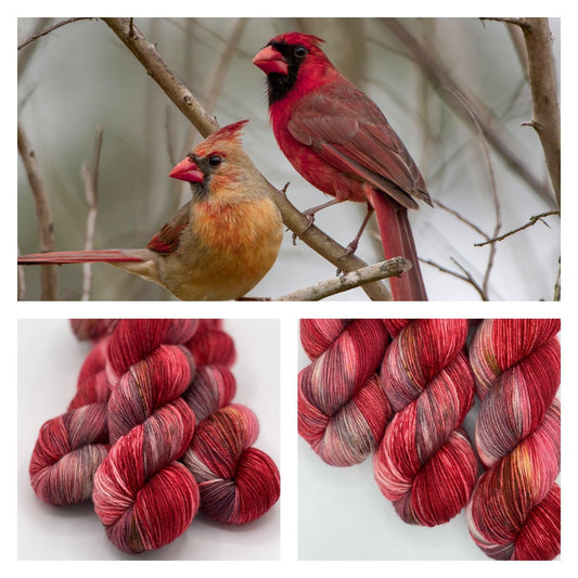 Captivating Cardinal - Arcane Fibre Works